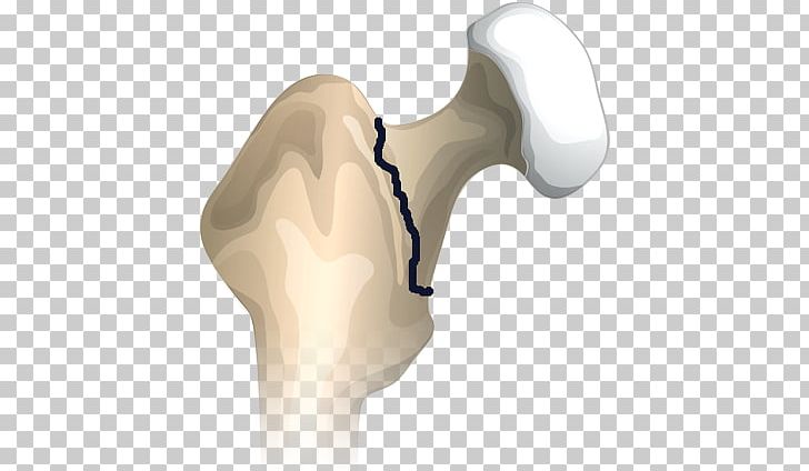 Thumb Hip Shoulder PNG, Clipart, Arm, Art, Bone, Ear, Finger Free PNG Download