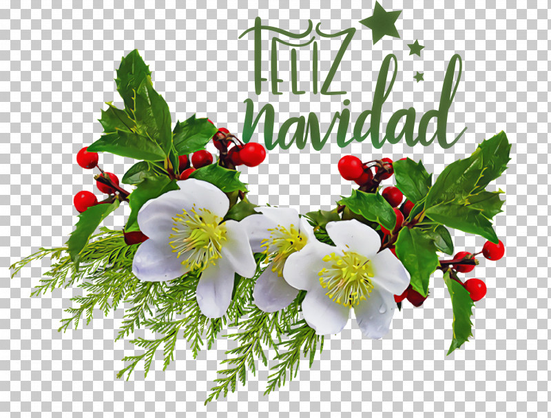 Feliz Navidad Merry Christmas PNG, Clipart, Chrysanthemum, Common Holly, Cut Flowers, Feliz Navidad, Floral Design Free PNG Download