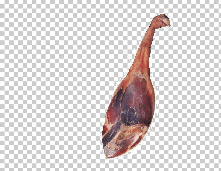 Bayonne Ham Sausage Bacon Domestic Pig PNG, Clipart, Animal Source Foods, Bacon, Bacon Pizza, Bacon Roll, Bayonne Ham Free PNG Download