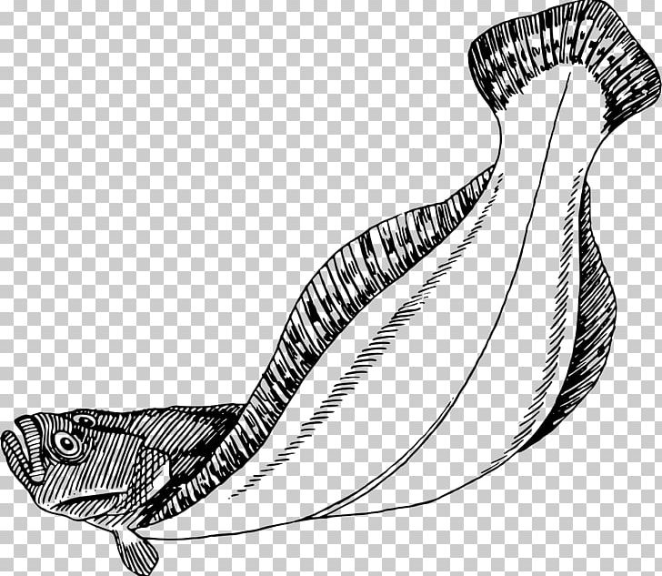 Flatfish Flounder Drawing PNG, Clipart, Animals, Automotive Design, Black And White, Computer Icons, Diagram Free PNG Download