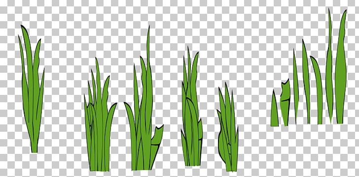 Presentation Plant Stem Grass PNG, Clipart, Cartoon, Commodity, Download, Grass, Grass Blade Design Free PNG Download