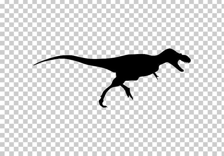 Tyrannosaurus Albertosaurus Velociraptor Dinosaur Deinonychus PNG, Clipart, Albertosaurus, Animal, Beak, Black And White, Computer Icons Free PNG Download