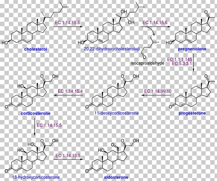 Aldosterone Cholesterol Biosynthesis Dehydroepiandrosterone Sulfate PNG, Clipart, Aldosterone, Angle, Area, Biosynthesis, Blue Free PNG Download