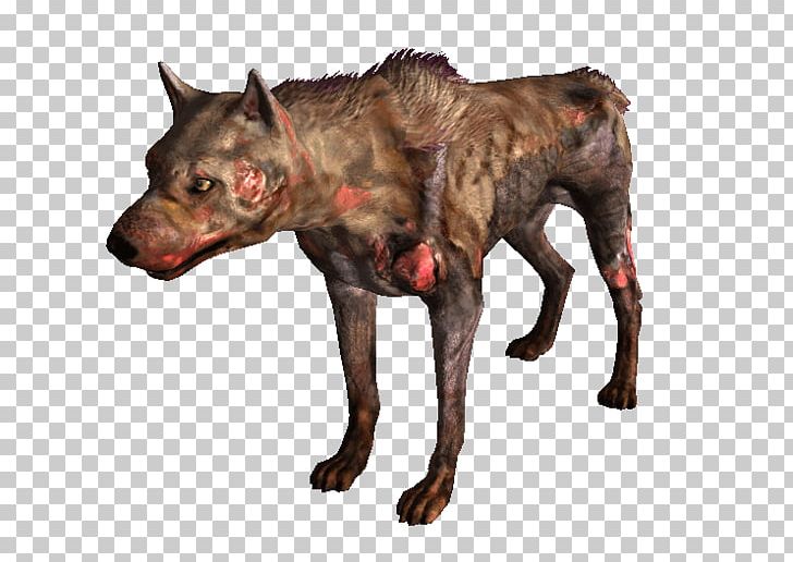 Fallout: New Vegas Fallout 3 Dog Breed Wasteland Chesapeake Bay Retriever PNG, Clipart, Border Collie, Carnivoran, Chesapeake Bay Retriever, Collie, Dog Free PNG Download
