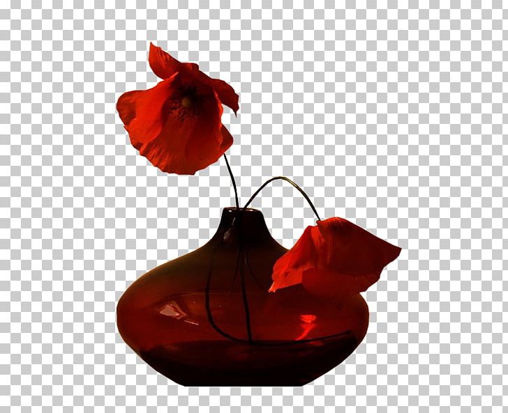 Still Life Photography Vase Flowering Plant PNG, Clipart, Coquelicot, Flower, Flowering Plant, Flowers, Petal Free PNG Download