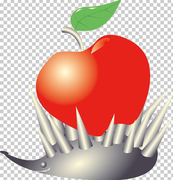 Apple Auglis Computer File PNG, Clipart, Apple, Apple Fruit, Apple Logo, Apple Vector, Auglis Free PNG Download