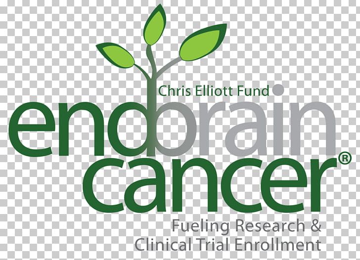 End Brain Cancer Initative (Chris Elliott Fund) Brain Tumor Cancer Survivor Lung Cancer PNG, Clipart, American Cancer Society, Brain Metastasis, Brain Tumor, Brand, Cancer Free PNG Download
