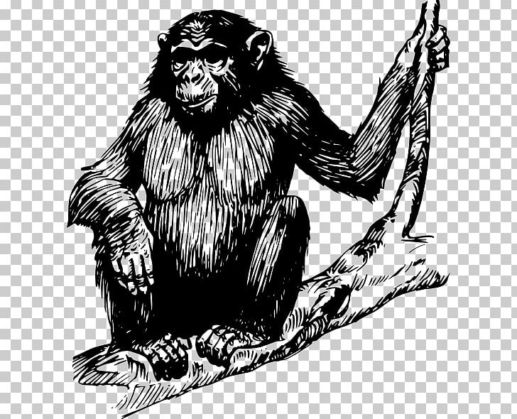 Gorilla Chimpanzee Primate PNG, Clipart, Animals, Ape, Art, Big Cats, Black And White Free PNG Download