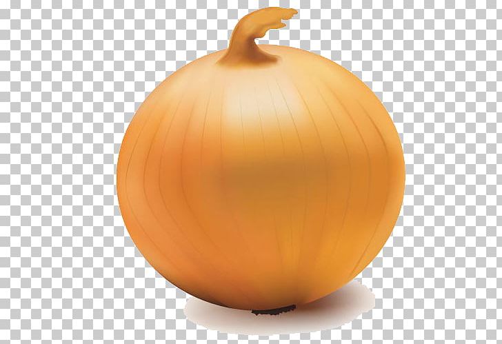 Yellow Onion Jack-o-lantern PNG, Clipart, Calabaza, Cucurbita, Encapsulated Postscript, Food, Food Drinks Free PNG Download