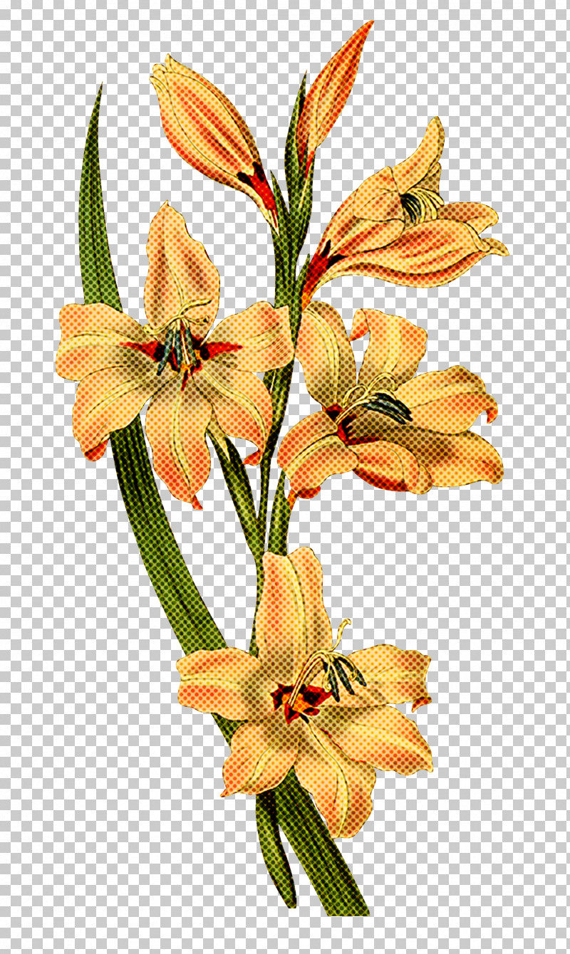 Floral Design PNG, Clipart, Cut Flowers, Easter Lily, Floral Design, Flower, Flower Bouquet Free PNG Download
