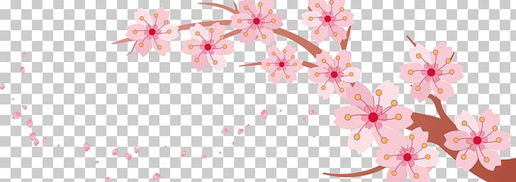 Cherry Blossom Banner PNG, Clipart, Blossom, Branch, Cherry, Cherry Blossoms, Cherry Vector Free PNG Download