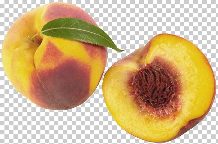 Peach PNG, Clipart, Clip Art, Color, Desktop Wallpaper, Download, Food Free PNG Download