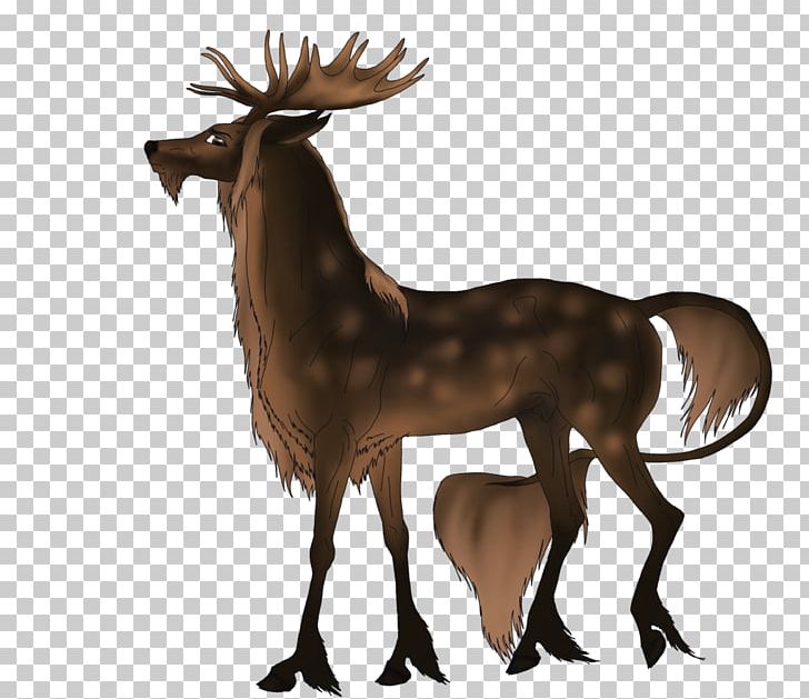 Reindeer Antelope Elk Horn Animal PNG, Clipart, Animal, Antelope, Antler, Cartoon, Deer Free PNG Download