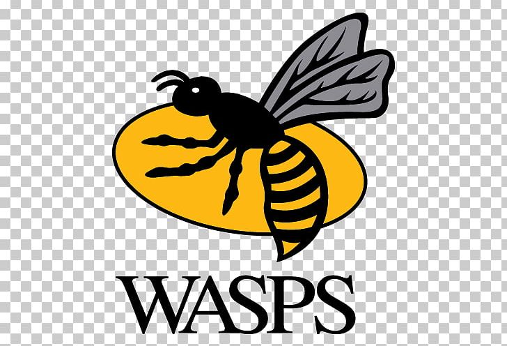 Wasps RFC Worcester Warriors Saracens F.C. Ricoh Arena Gloucester Rugby PNG, Clipart, Artwork, Bee, Black And White, European Rugby Champions Cup, Fly Free PNG Download