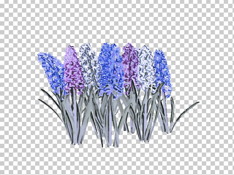 Lavender PNG, Clipart, Delphinium, Flower, Grape Hyacinth, Hyacinth, Iris Free PNG Download