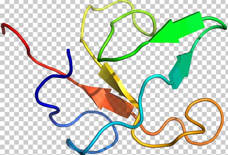 Line Organism PNG, Clipart, Area, Art, Artwork, Line, Organism Free PNG Download