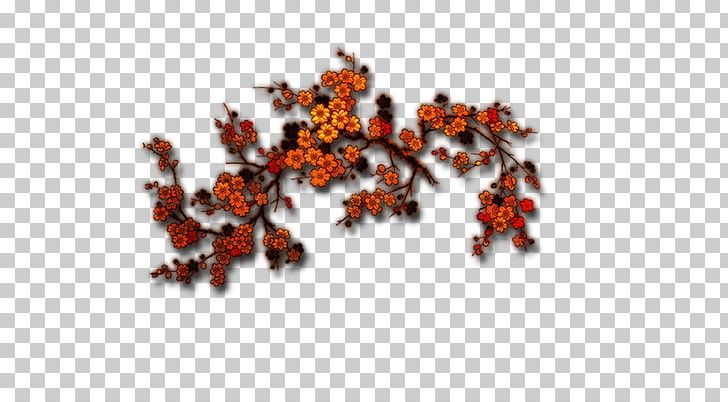 Tree Branch Orange Branch PNG, Clipart, Adobe Illustrator, Blog, Bloom, Branch, Branches Free PNG Download