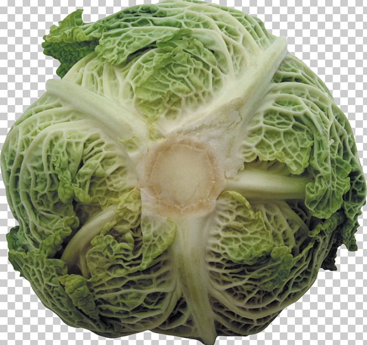 Savoy Cabbage Cruciferous Vegetables Collard Greens Spring Greens PNG, Clipart, Brassica Oleracea, Cabbage, Capsicum Annuum, Collard Greens, Cruciferous Vegetables Free PNG Download