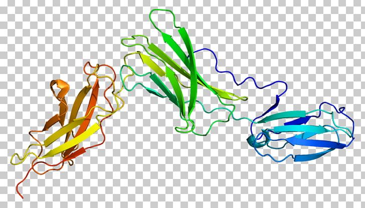 Interleukin-6 Receptor Interleukin 6 Interleukin-1 Family Tocilizumab PNG, Clipart, 1 N, Area, Art, Artwork, Cytokine Free PNG Download