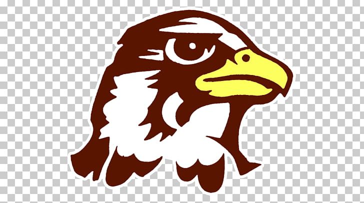 Quincy University Quincy Hawks Football Upper Iowa University Great Lakes Valley Conference NCAA Division II PNG, Clipart, American Football, Bird, Carnivoran, Division I Ncaa, Fictional Character Free PNG Download