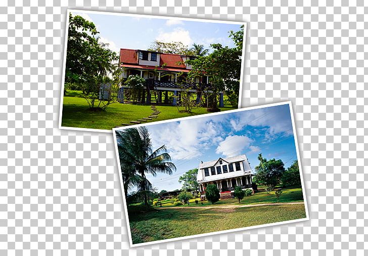 Suriname Hotel Country Tourism Vacation PNG, Clipart, Beauty, Conference Centre, Cottage, Country, Del Mar College Northwest Center Free PNG Download