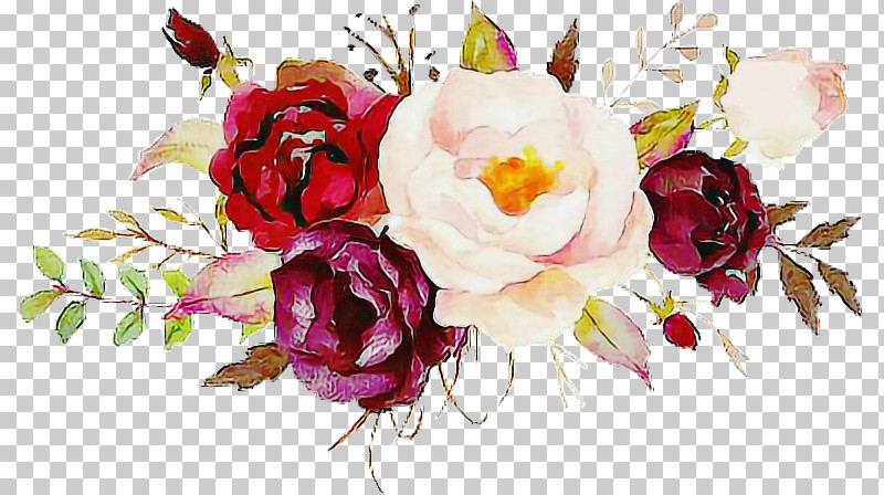 Garden Roses PNG, Clipart, Artificial Flower, Bouquet, Chinese Peony, Common Peony, Cut Flowers Free PNG Download