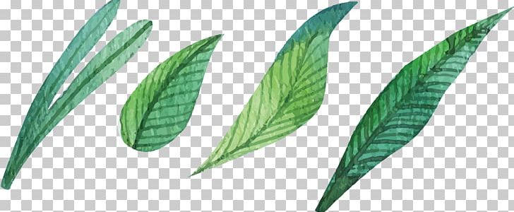 Leaf Watercolor Painting PNG, Clipart, Autumn Leaves, Banana Leaves, Cartoon, Comics, Defoliacixf3 Free PNG Download