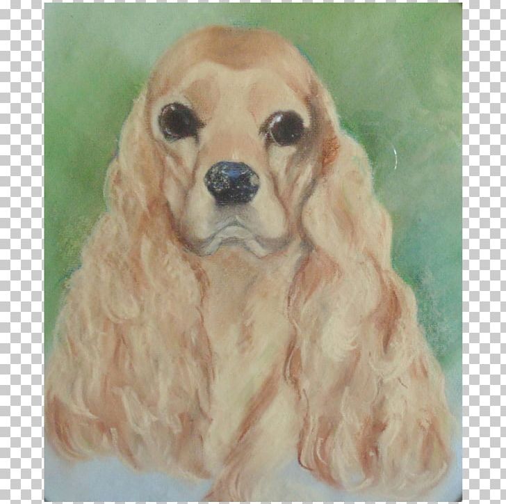 American Cocker Spaniel English Cocker Spaniel Cockapoo Puppy Dog Breed PNG, Clipart, American Cocker Spaniel, Animals, Breed, Carnivoran, Cockapoo Free PNG Download