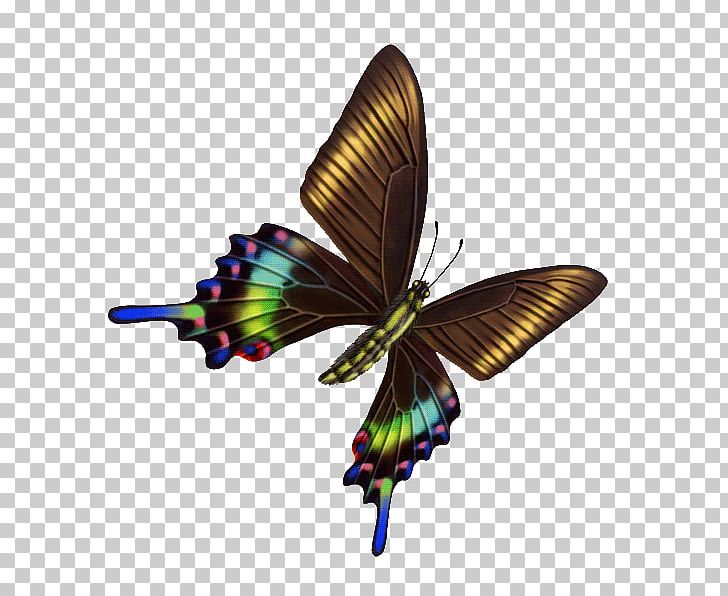 Butterfly Wing PNG, Clipart, Arthropod, Brush Footed Butterfly, Insects, Inver, Moth Free PNG Download