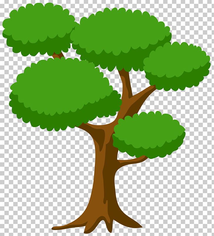 Tree Desktop PNG, Clipart, Branch, Cypress, Desktop Wallpaper, Download, Flower Free PNG Download