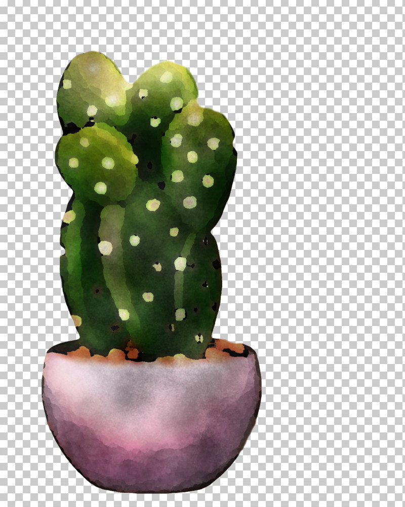 Cactus PNG, Clipart, Barbary Fig, Cactus, Eastern Prickly Pear, Echinocereus, Fig Free PNG Download