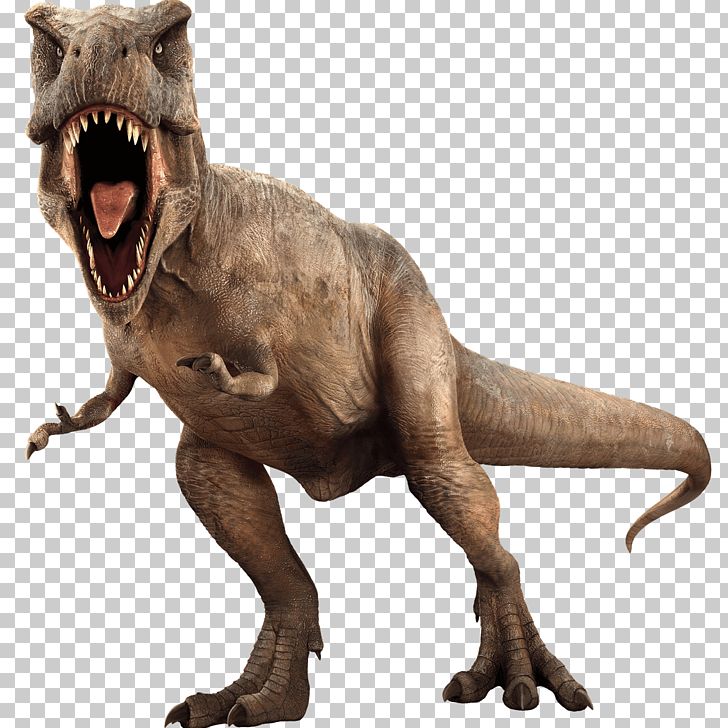 Jurassic World Evolution Velociraptor Fathead PNG, Clipart, Animatronics, Decal, Dinosaur, Evolution, Extinction Free PNG Download