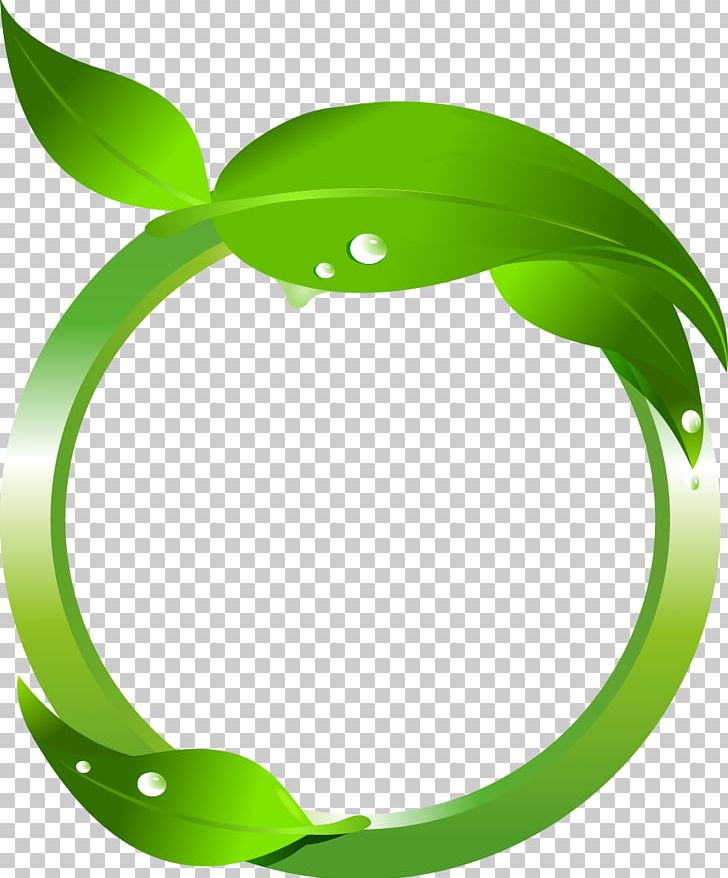 Maple Leaf Green PNG, Clipart, Background Green, Circle, Encapsulated Postscript, Fall Leaves, Frame Free PNG Download