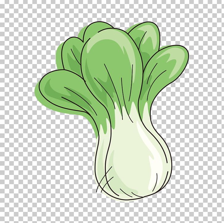 Chinese Cabbage Cartoon Vegetable PNG, Clipart, Brassica Oleracea, Cabbage, Cartoon Vegetables, Chinese, Chinese Border Free PNG Download