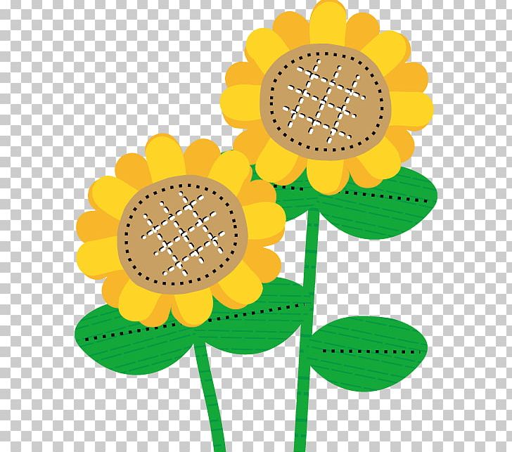 Himawari Nursery Common Sunflower Child Photography PNG, Clipart, 1975, Child, Common Sunflower, Counseling, Cut Flowers Free PNG Download