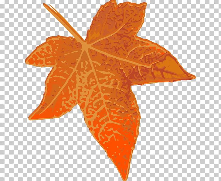 Maple Leaf Orange Autumn PNG, Clipart, Autumn, Autumn Leaf Color, Drawing, Green, Leaf Free PNG Download