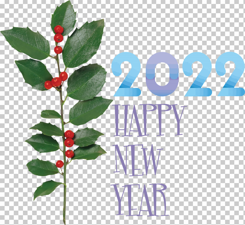 2022 New Year 2022 Happy New Year 2022 PNG, Clipart, Aquifoliales, Common Holly, December 3, Holly, Japanese Holly Free PNG Download