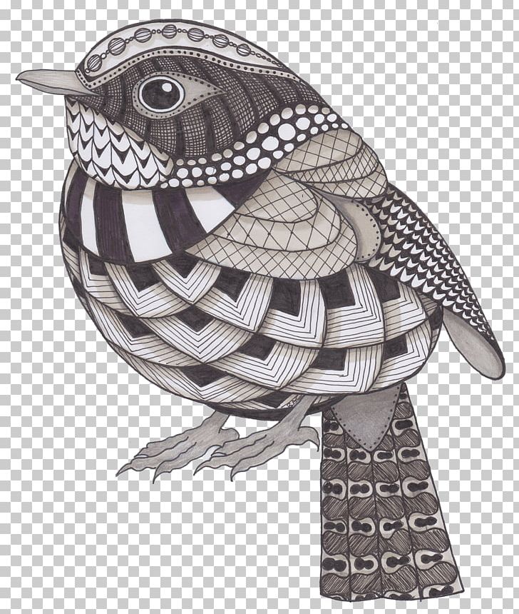 Bird Owl Drawing Flickr Illustration PNG, Clipart, Abstract Art, Animals,  Art, Beak, Bird Free PNG Download