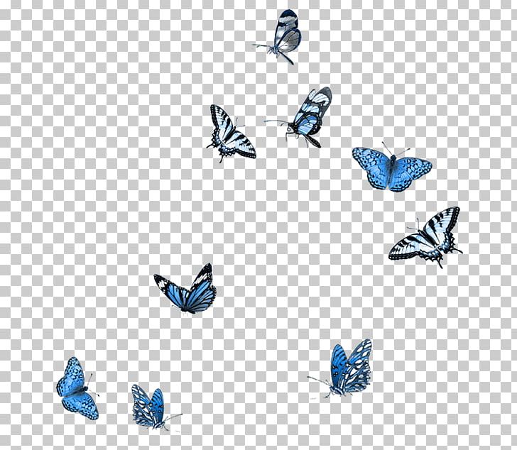 Butterfly PNG, Clipart, 3d Computer Graphics, Animal Figure, Blue, Blue Butterfly, Body Jewelry Free PNG Download