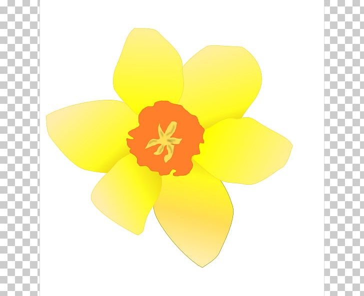 Daffodil Free Content PNG, Clipart, Art, Cartoon, Clump Cliparts ...