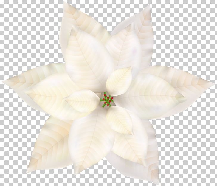 Petal PNG, Clipart, Art, Christmas, Christmas Clipart, Christmas Poinsettia, Clipart Free PNG Download