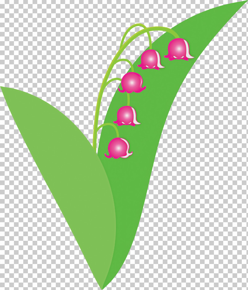 Lily Bell Flower PNG, Clipart, Flower, Green, Leaf, Lily Bell, Lily Of The Valley Free PNG Download