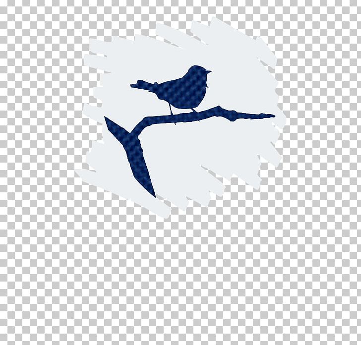 Bird Beak Parrot PNG, Clipart, Art, Beak, Bird, Blue, Blue Jay Free PNG Download