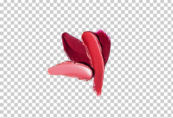 Lip Balm Lipstick Lip Gloss Make-up PNG, Clipart, Christmas Decoration, Color, Cosmetics, Cosmetology, Decoration Free PNG Download