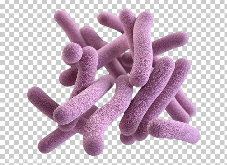Pathogenic Bacteria Gram-positive Bacteria Fungus Mycobacterium Tuberculosis PNG, Clipart, Bacteria, Bacterial Vaginosis, Challenge, Dec, Decomposer Free PNG Download