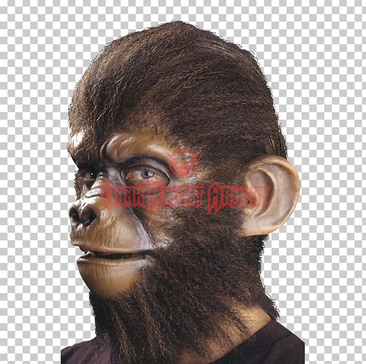 Simian Ear Monkey Chimpanzee Prosthesis PNG, Clipart, Auricle, Beard, Brown Wolf, Chimpanzee, Costume Free PNG Download