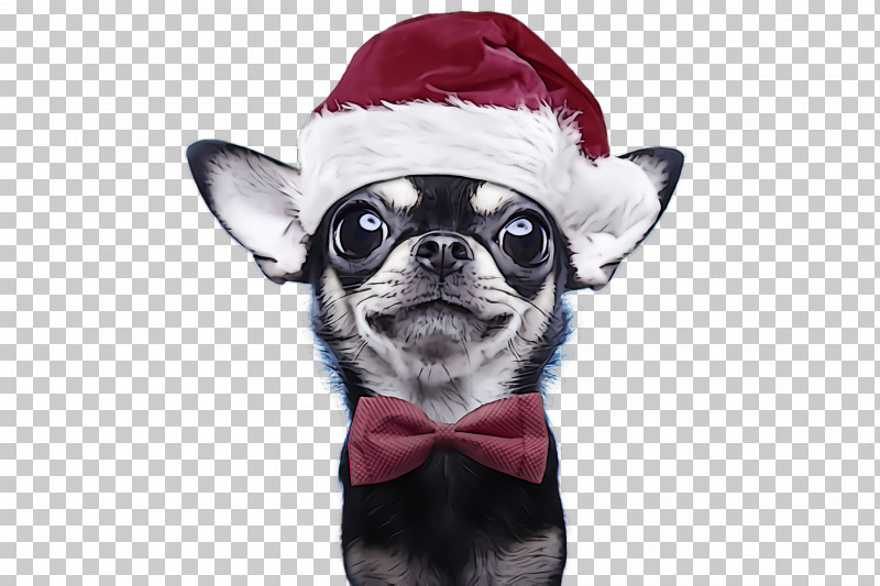 Bow Tie PNG, Clipart, Bow Tie, Chihuahua, Dog, Dog Clothes, French Bulldog Free PNG Download