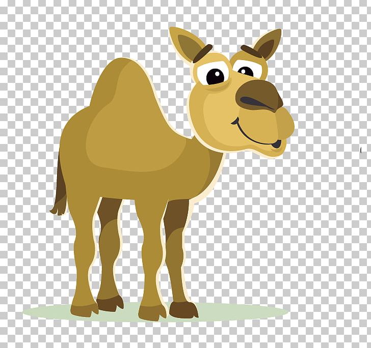 Bactrian Camel Cartoon PNG, Clipart, Animals, Bactrian Camel, Camel, Camel Cartoon, Camel Like Mammal Free PNG Download