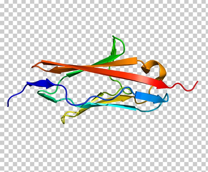 MYOT Gene Titin Mutation Muscular Dystrophy PNG, Clipart, Antibody, Area, Artwork, Dna, Dystrophy Free PNG Download