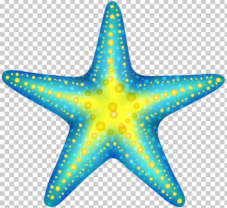 Starfish PNG, Clipart, Download, Drawing, Echinoderm, Fish, Free Content Free PNG Download